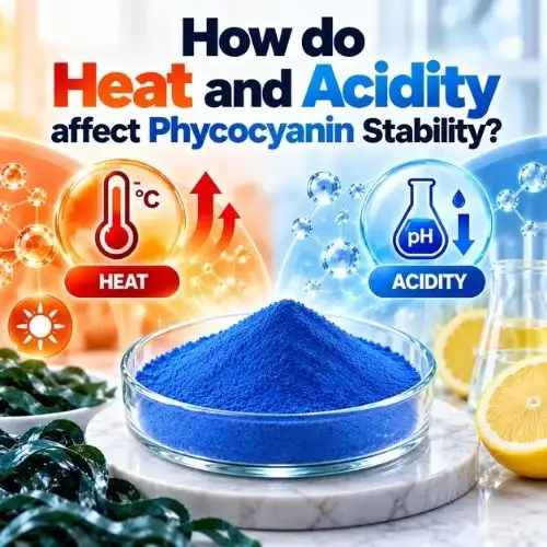 How do heat and acidity affect phycocyanin stability